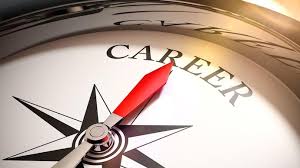 Career in other